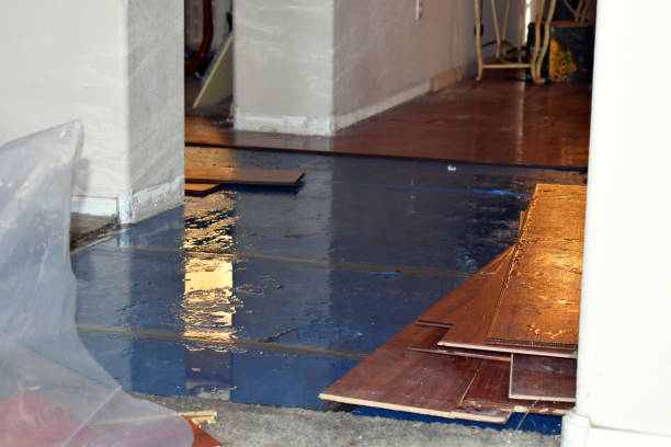 Professional Basement Flood Cleanup technician working in Sanborn, NY